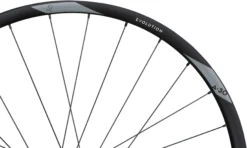 Newmen Evolution SL A.30 29 MicroSpline 12x148 Rear Wheel -Cycle Pro Gear 90635 2