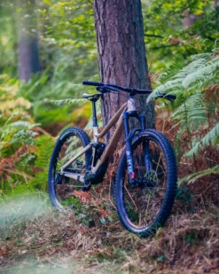 Lapierre Zesty AM CF 7. 9 Full Suspension Mountain Bike Beige -Cycle Pro Gear A7409144201