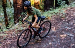 Liv Devote 2 Womens Gravel Adventure Bike Terracotta Red 13 Liv Devote 2 Womens Gravel Adventure Bike Terracotta Red -Cycle Pro Gear Devote banner 1645471581 2