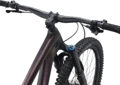 Giant Reign Advanced Pro 29 1 Enduro Mountain Bike Gloss Rosewood/Black -Cycle Pro Gear MY21REIGN AP 29 1 ColorARosewood 5
