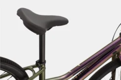 Cannondale Treadwell 3 Remixte Ltd Hybrid Bike Rainbow Trout -Cycle Pro Gear Screenshot202021 09 2820122924