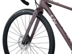 Liv Devote 1 Womens Gravel Bike 2024 Charcoal Plum -Cycle Pro Gear my24devote1 colora d4