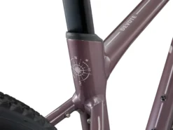 Liv Devote 1 Womens Gravel Bike 2024 Charcoal Plum -Cycle Pro Gear my24devote1 colora d5